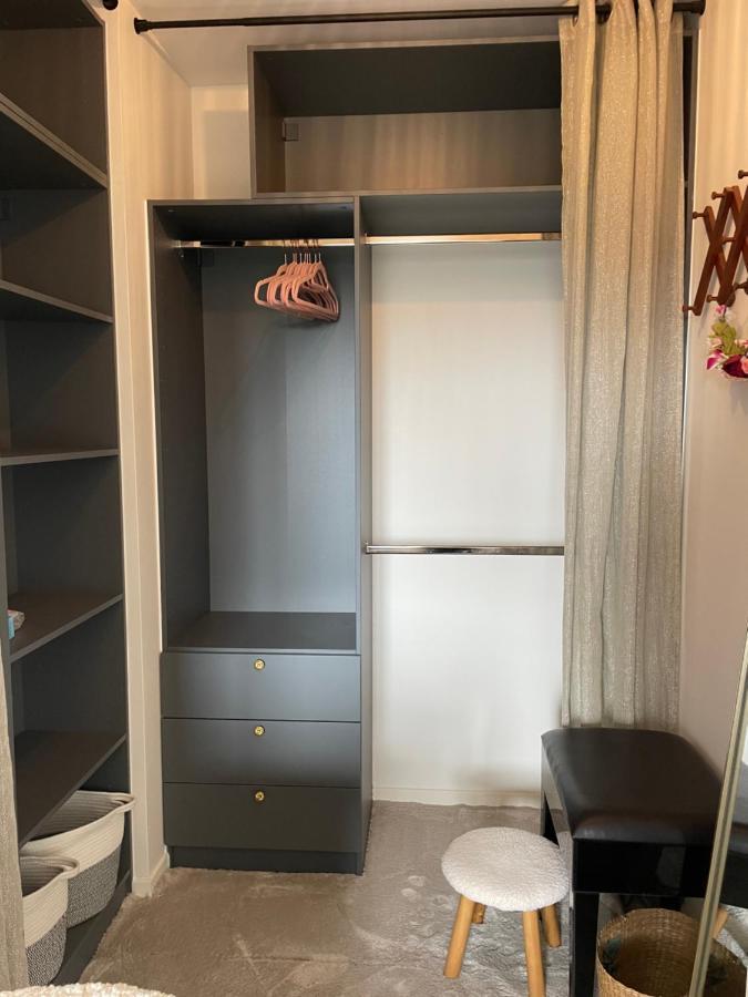 Rose Blossom In Paris Apartment *