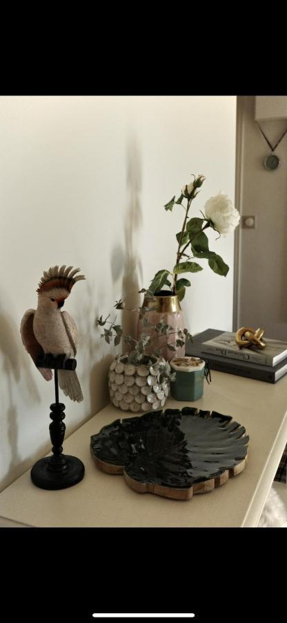 Apartment Rose Blossom In Paris